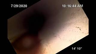 Celebrity Conlan Company Wealth