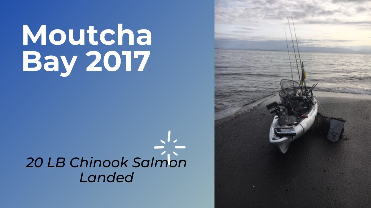 Moutcha Bay Kayak Derby 2017 - 20 lb Chinook Salmon