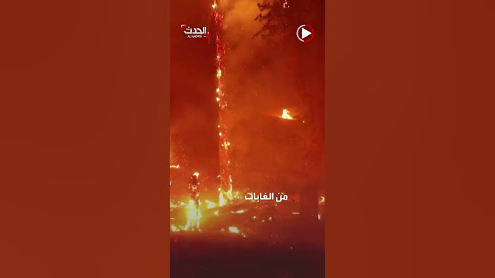 مشاهد لحرائق مستعرة في غابات بولاية كاليفورنيا