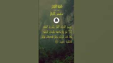 Shorts وسيق الذين اتقوا ربهم الي الجنة زمرا 