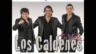 Video thumbnail of "Los Caldenes - Angélica (Los Caldenes Fans)"