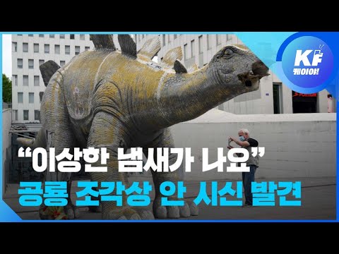 “공룡 조각상에서 냄새 나요” 신고 후 30대 남자 시신 발견 / KBS