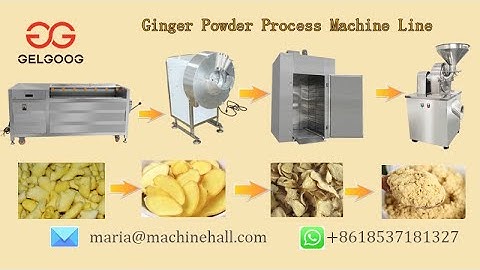 Ginger Powder Process Machine Line+8618537181327