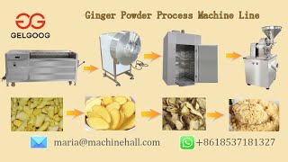 Ginger Powder Process Machine Line+8618537181327