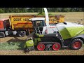 Claas Jaguar 960 TT Edition 40000 - Grünroggen häckseln im Oderbruch 2021 Köppen&Helmig