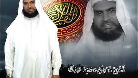 سوره لقمان _ الشيخ شعبان محمود عبدالله 2012