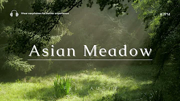 Asian Meadow | Ambience Nature Forest Deep Relaxation | #SHORT Audio