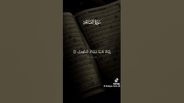 تلاوة خاشعة لسورة الفاتحة ❤
