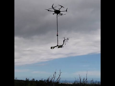 New chainsaw drone technology deployed to fight Rapid ʻŌhiʻa Death