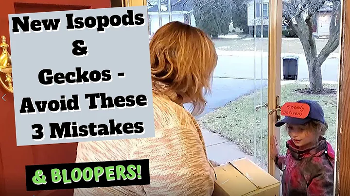 New Isopods & Geckos   Avoid These 3 Mistakes