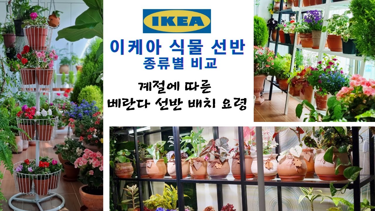 이케아 선반 종류별 비교 / 계절에 따른 베란다 식물 선반 배치 요령 / 이케아 선반 종류별 후기