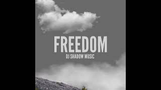 Freedom • DJ Shadow Music (Official audio)