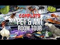FULL ANT & PET TOUR | Millions of Ants, Tarantulas, Reptiles, Amphibians, Birds, Fish, Terrariums