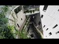 Award-Winning Apartment with a Hidden Courtyard | Tokyo Room Tour | Vlog | Life in Japan