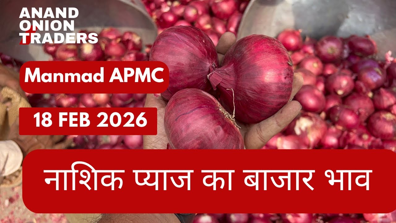नाशिक प्याज आज का भाव 🔥 | Nashik Onion Market Rate Today18 February 2026