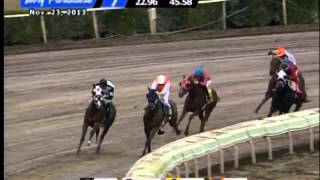 AZ Thoroughbred Breeders' Fall Festival At Turf Paradise
