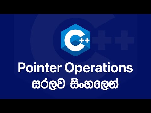 C++ Basics: Pointers - Operations