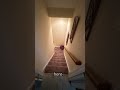 Relaxing music explaining evaluations #accessibility #mp2 #relaxing #stairlift