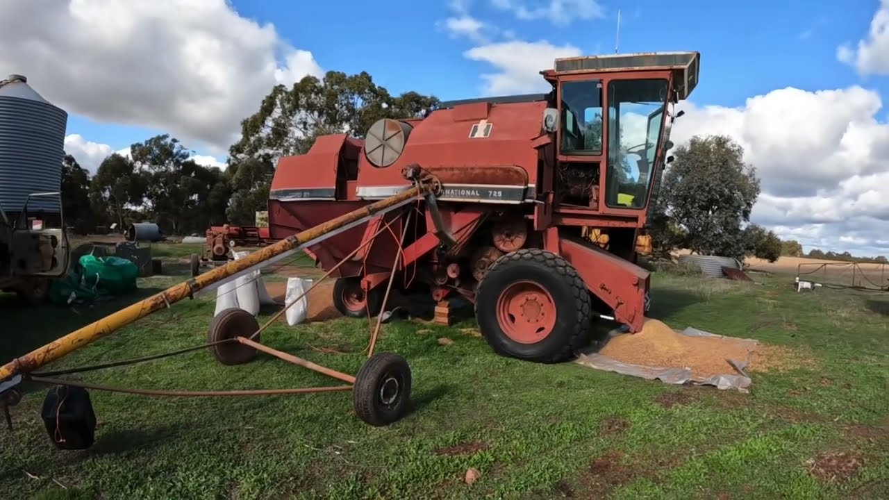 Grading seed using a harvester