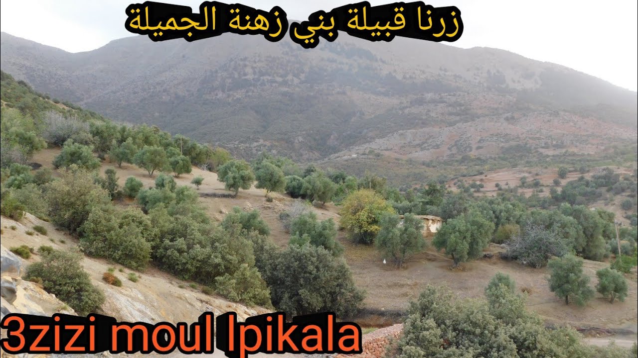 مشينا لقبيلة بني زهنة زرنا دوار البطحاء وسيدي أمحمد البطاح،المياه الوفيرة والطبيعة الخلابة 😀😀