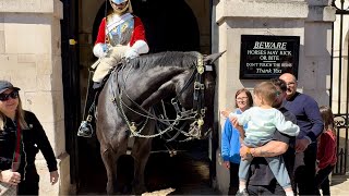 “Unforgettable and Hilarious Day at Horse Guards in London - A Spectacular Adventure!