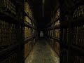 The Secret Gold Vault Endless Shelves of Gold Bars