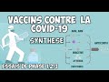 COVID-19 : comment fonctionnent les vaccins entiers, à ARN ? Quelle efficacité ? Effets secondaires?