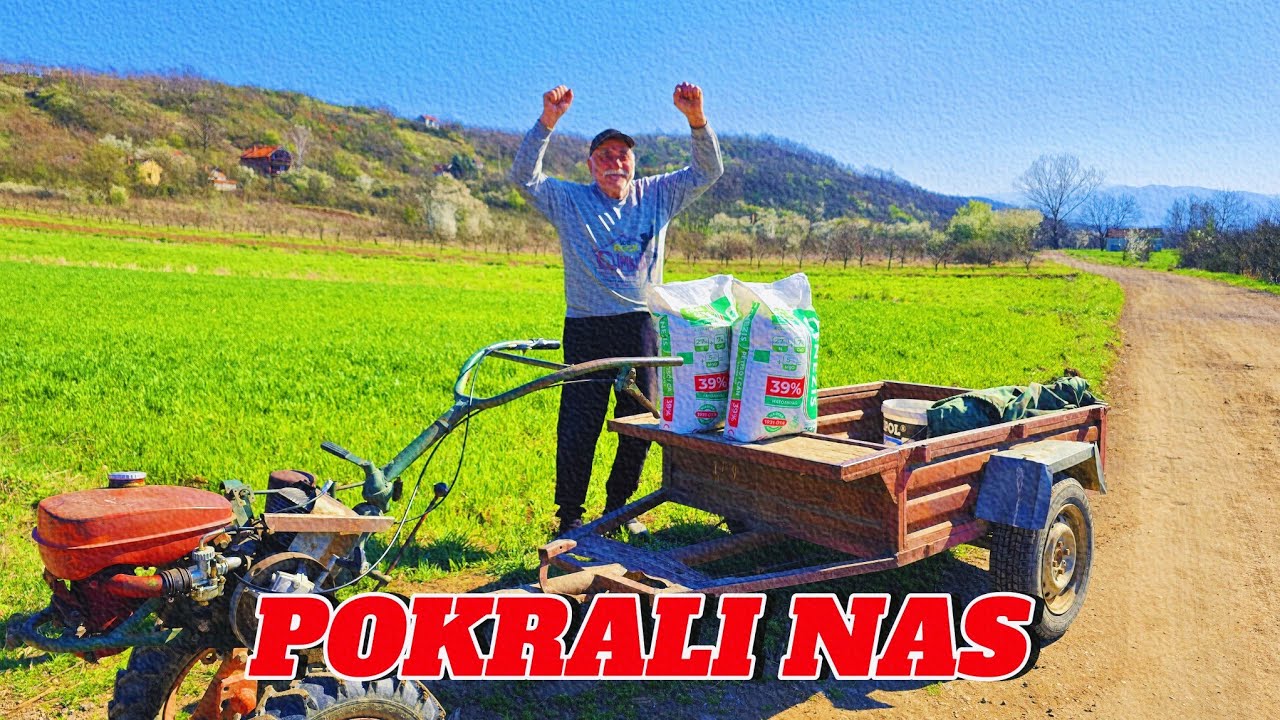 UKRALI DRAGIJU DJUBRE! POLUDEO! *uhvatili lopove*