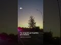Defienden a adulto mayor de agresión e intento de asalto en un restaurante en Arizona