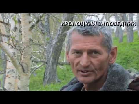 Кроноцкий заповедник или сказочная реальность Владимира Злотникова