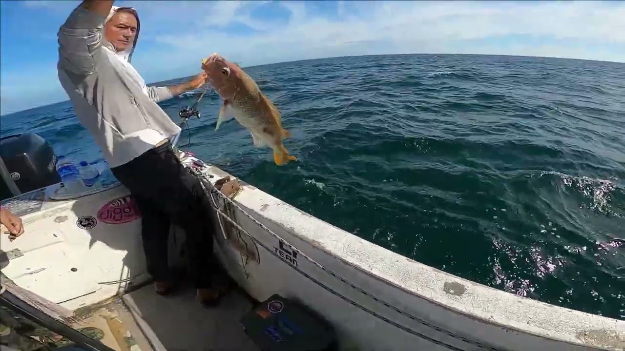 Trip Bottom ikan Jenahak Kerapu, Port klang -Tekong Adam