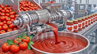 The Production Process Of Tomato Paste You Have Never Seen | factory automation