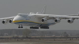 Nákladní kolosy v oblacích ☁️✈️ Airbus A300-600ST Beluga, Airbus A400M, Antonov An-124 ...