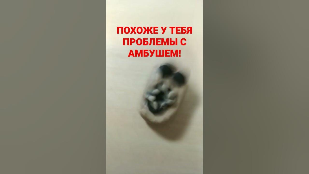амбуш - YouTube