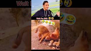 🍂 Try Not To Laugh #funny #shorts #comedy #flux #memes