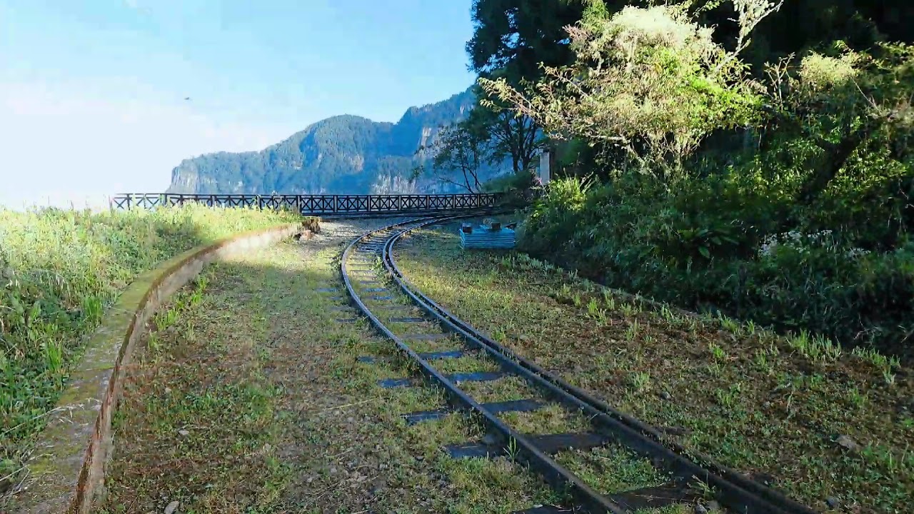 阿里山青年活動中心 二萬坪風景區 Youtube