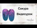 Сакура на ногтях. Дизайн ногтей сакура