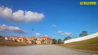 Aviana Resort Orlando Rental Homes - Tripelli.com