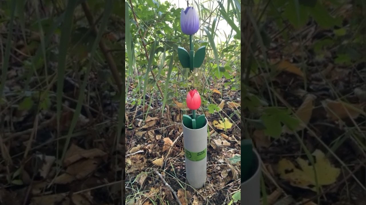 Never Judge a Geocache by its Container 🌷 