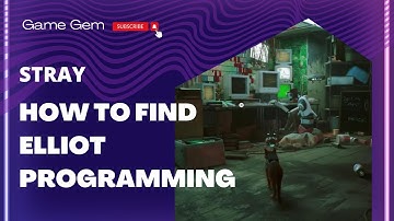 Stray - How to find Elliot Programming