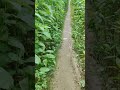 visiting murshidabad #foryou