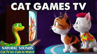 Relaxing Cat TV – Fun Cat Games to Entertain Your Cat When Left Home Alone😽 Videos for Cats to Watch