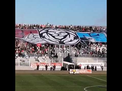 Tifo and Pyro display during Etoile Sportive du Sahel v CS Sfaxien #shorts #tunisia Tifo and Pyro display during Etoile Sportive du Sahel v CS Sfaxien #shorts #tunisia Thumbnail