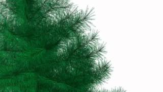 3D Model of Pine Tree High-Poly Review