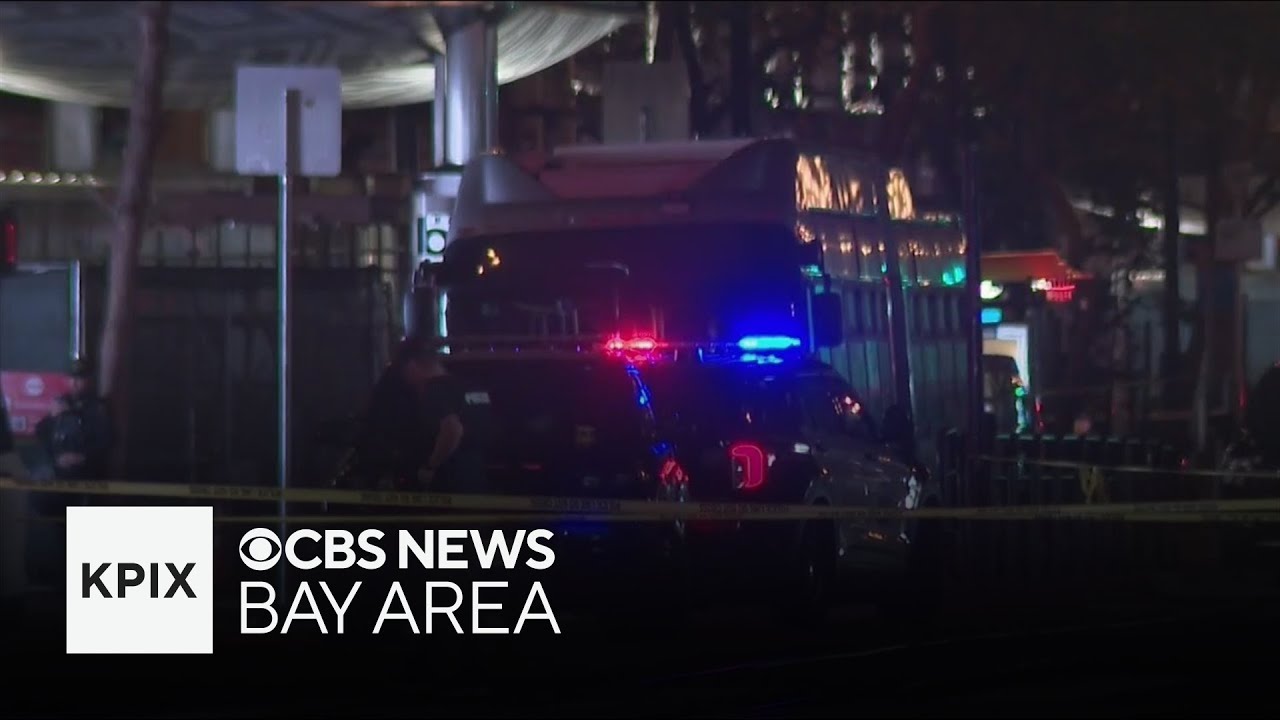 San Francisco police shoot dog, man after unprovoked dog attack - YouTube