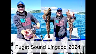Puget Sound Lingcod Fishing (Opening Day)