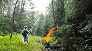 How To Find New Creeks To Fish Small Stream Trout Fishing
