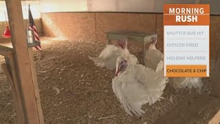 Meet The Lucky Turkeys Getting Pardoned By President Biden