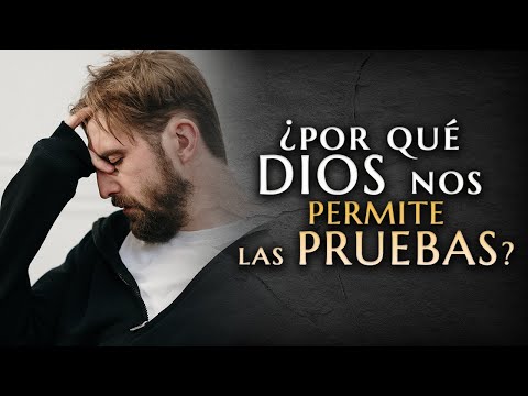 Video: Que Es Prueba