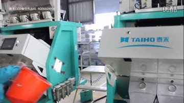 broad bean color sorter (aj@colorsort.cn) SELECTORA POR COLOR